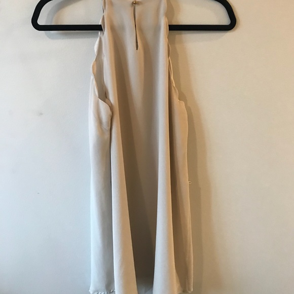 Tank, naked zebra dress - Picture 2 of 4